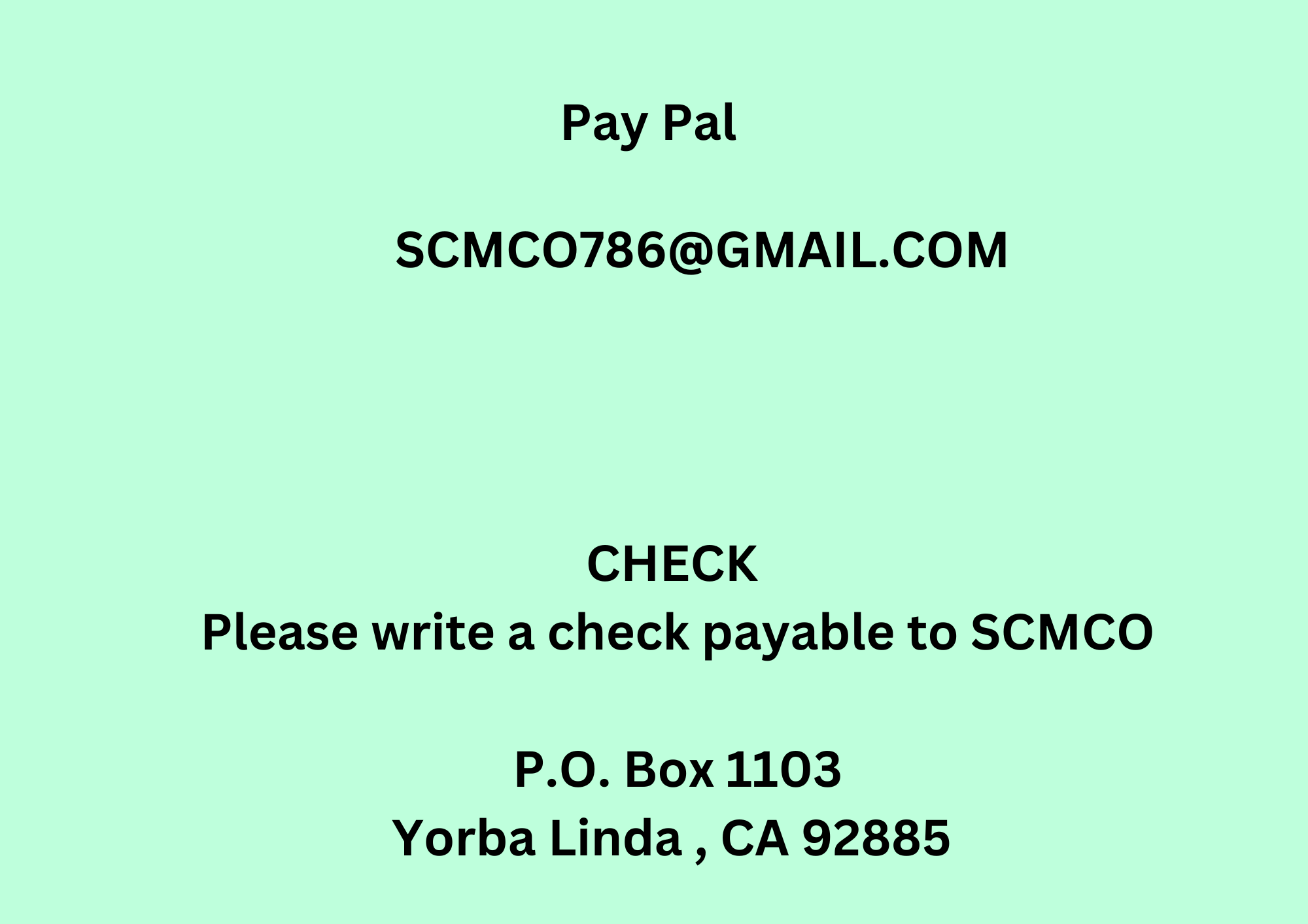 Payment Option 1